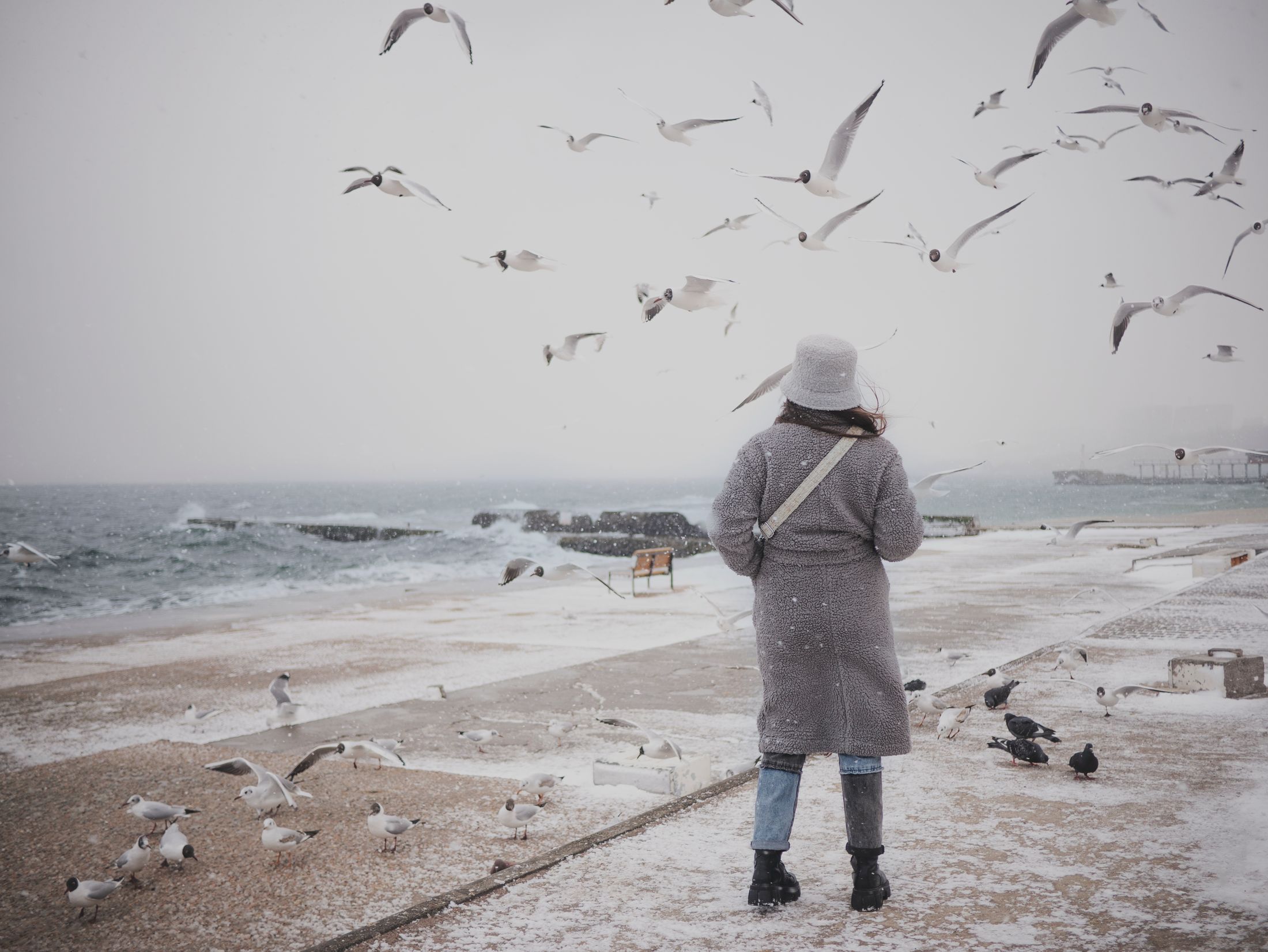 Still Here. Resistenza Contemporanea: Minneapolis, Ucraina, Palestina — 3