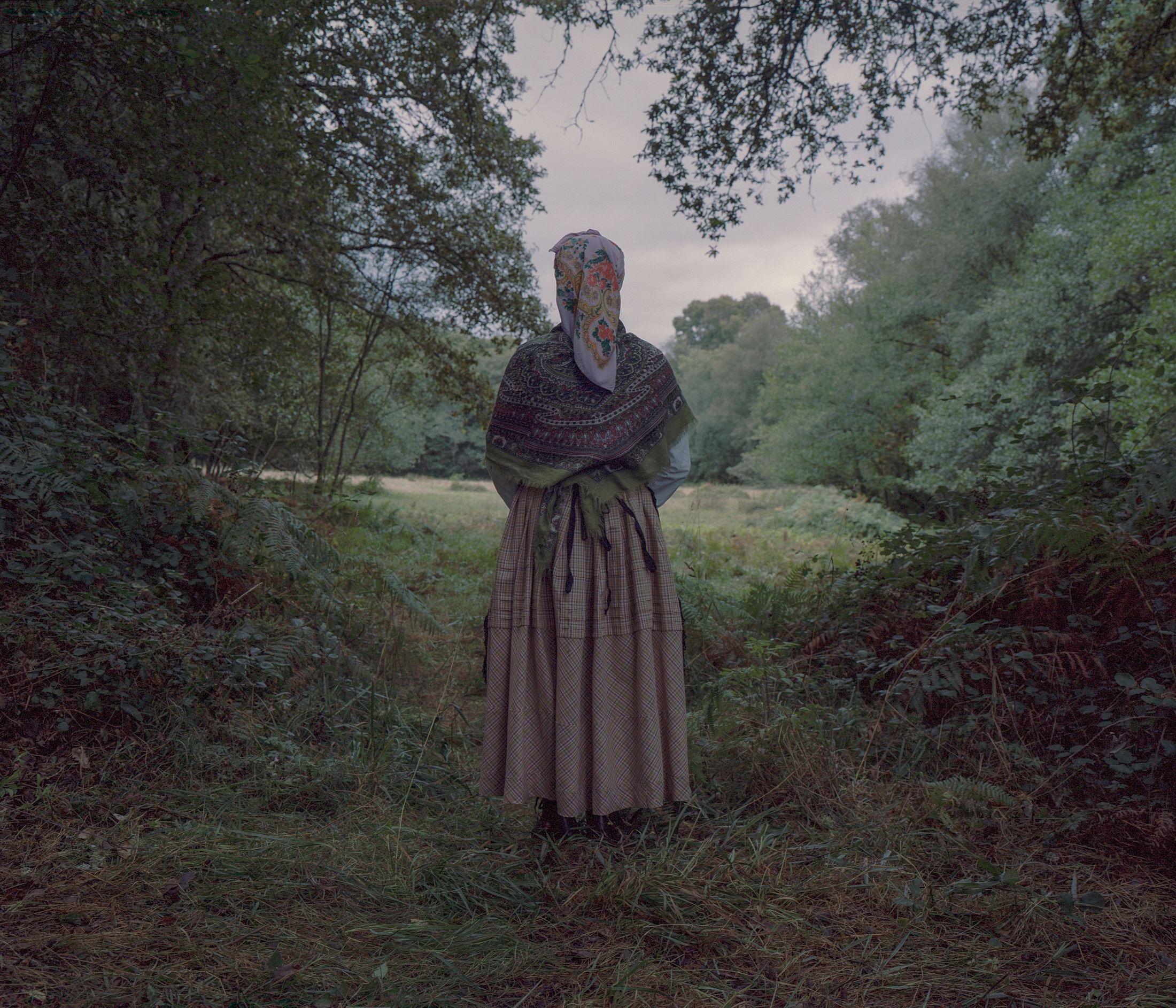 Beyond the Lake (Premio Marco Pesaresi 2025) — 1